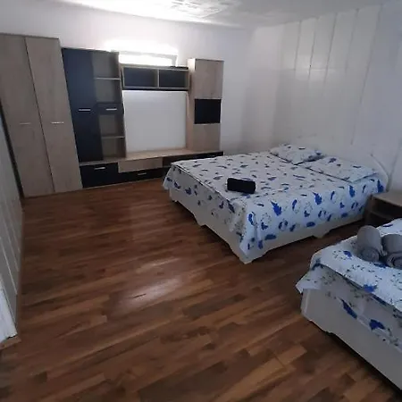 Homestay Casa La Bunica Costinesti