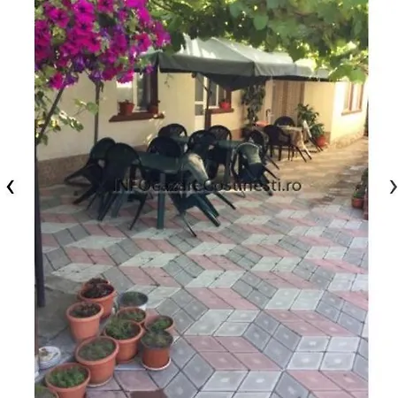 Homestay Casa La Bunica Costinesti