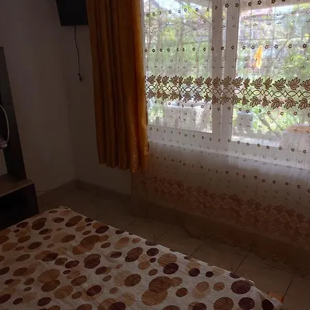 Casa La Bunica Homestay *