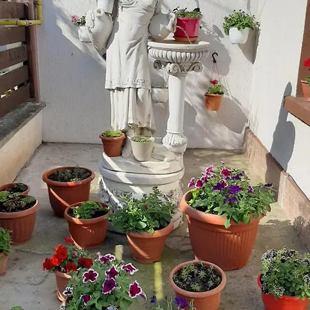 Casa La Bunica Gazde/Camere de închiriat