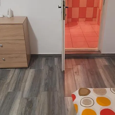 ホームステイ Casa La Bunica